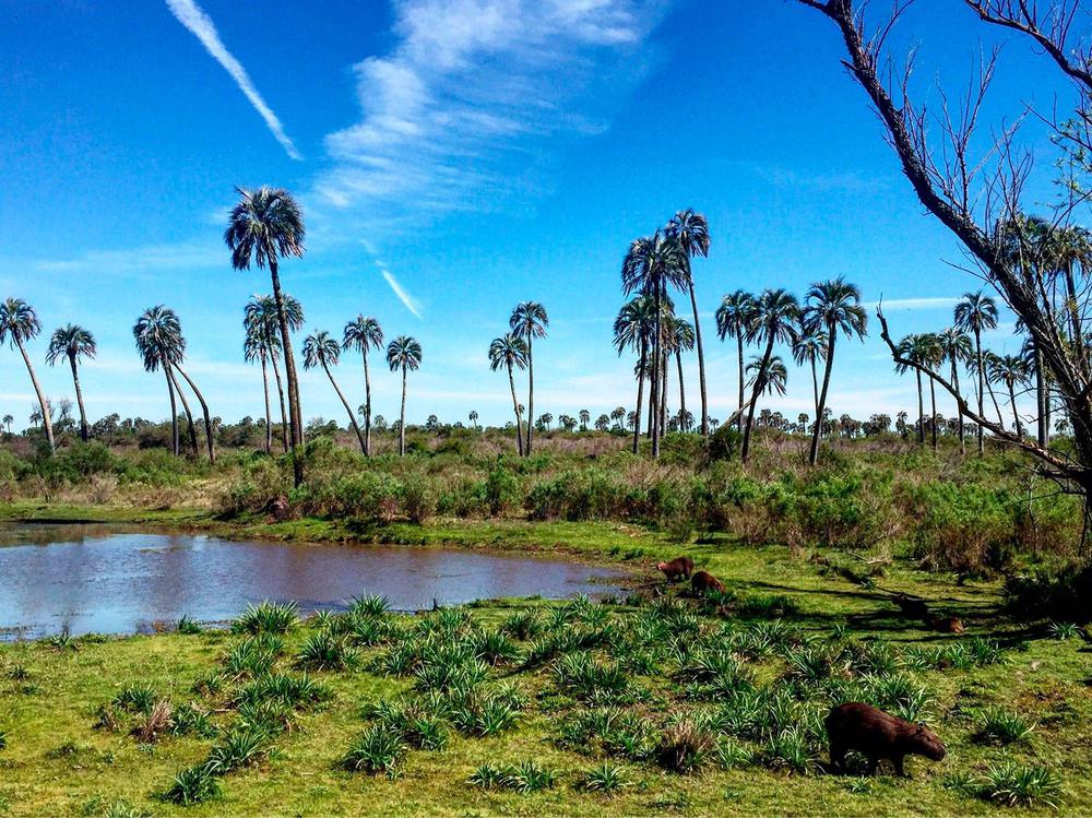 el-palmar-entre-rios-1